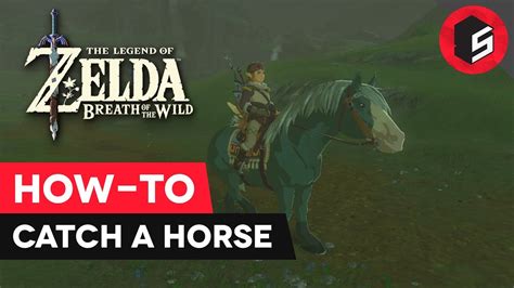 how to catch a horse in botw